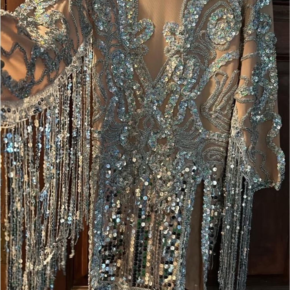 Sequin Fringe Dress